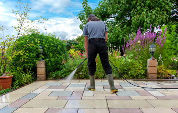 Best Fence Cleaning  in Bonsall, CA
